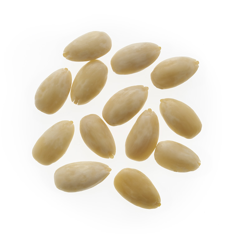 <span class="light">Blanched</span> Almond Kernels